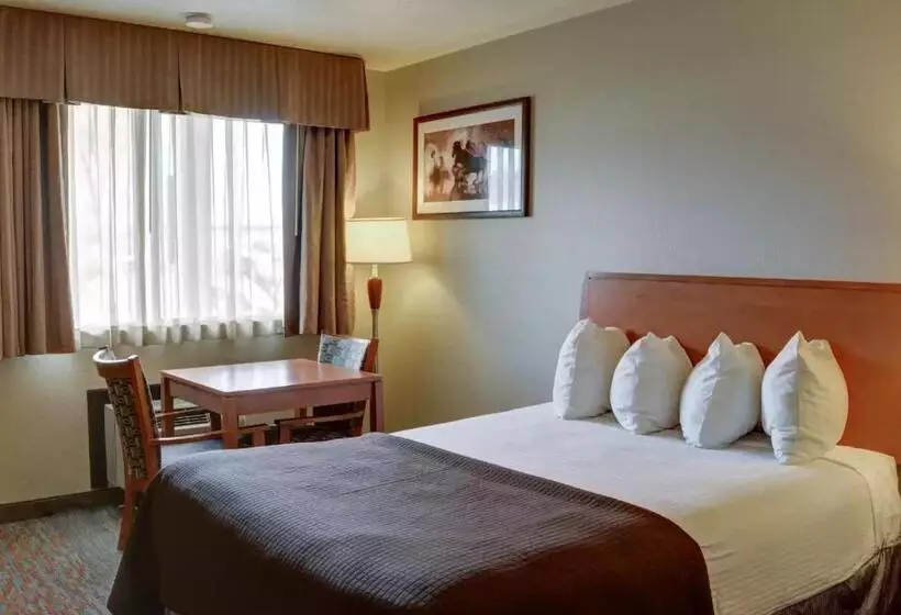 キングサイズベッドのスタンダードルーム, Quality Inn