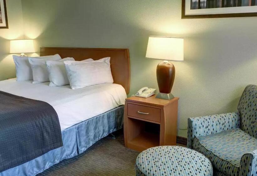 带大床的标准间, Quality Inn