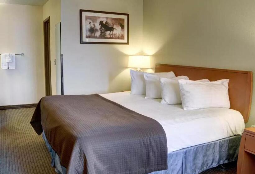 キングサイズベッドのスタンダードルーム, Quality Inn
