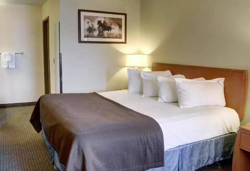 キングサイズベッドのスタンダードルーム, Quality Inn