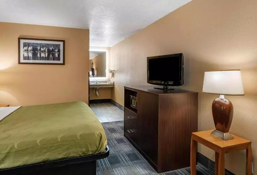 身障者適用キングサイズベッドルーム, Quality Inn