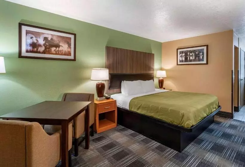 身障者適用キングサイズベッドルーム, Quality Inn