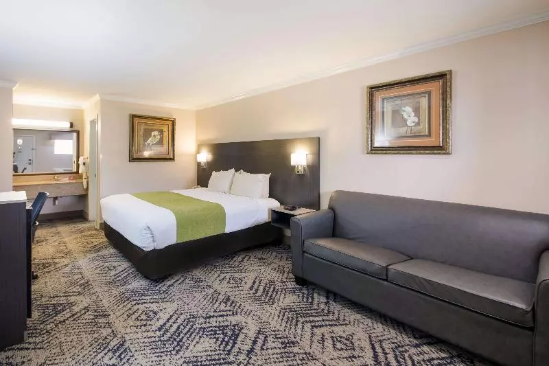 Standard-huone King-vuode, Surestay Hotel By Best Western Rockdale