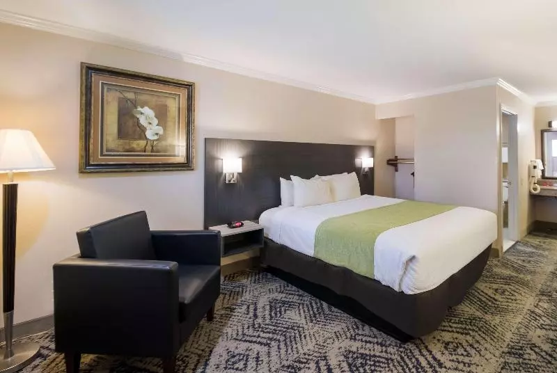 Standard-invahuone King-vuode, Surestay Hotel By Best Western Rockdale