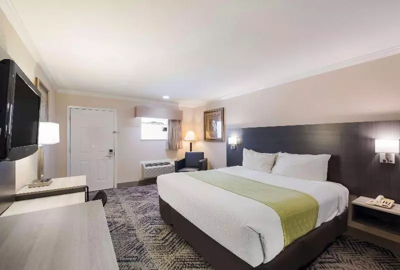 Standard-invahuone King-vuode, Surestay Hotel By Best Western Rockdale