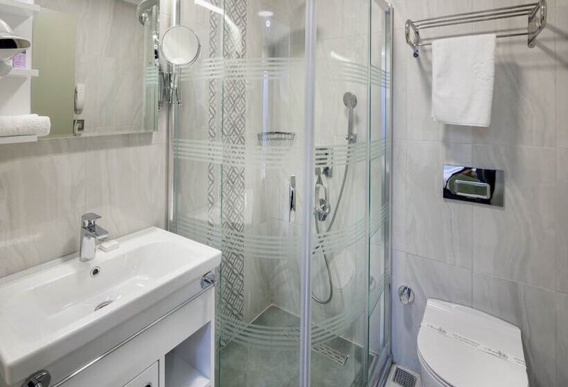 Economy Single Room, Obahan Hotel Special Class