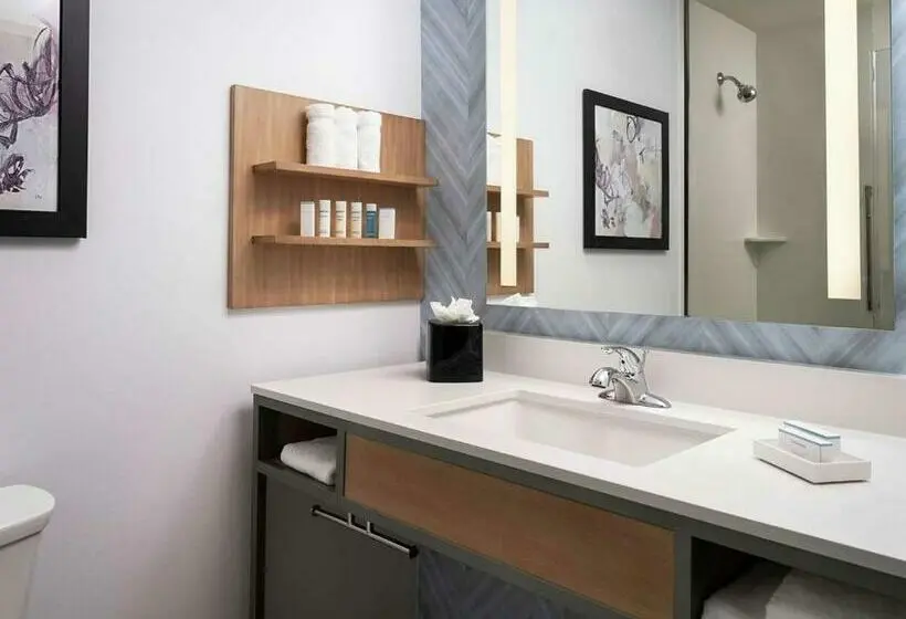 身障者適用スタンダードルーム, Hilton Garden Inn Olive Branch, Ms