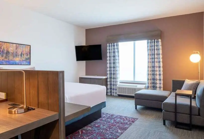 キングサイズベッドのデラックスルーム, Hilton Garden Inn Olive Branch, Ms