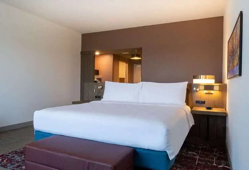 キングサイズベッドのデラックスルーム, Hilton Garden Inn Olive Branch, Ms