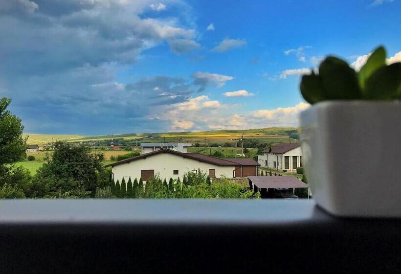 اتاق استاندارد با بالکن, Pensiunea Margareta