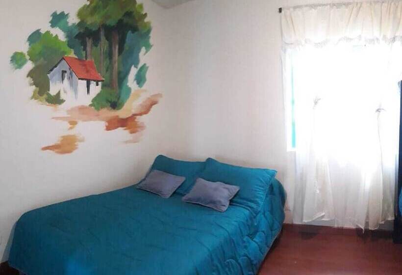家庭间, Hostel Casa Del Arbol