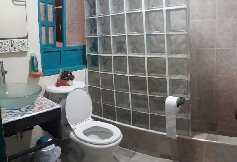 스탠다드 룸, Hostel Casa Del Arbol