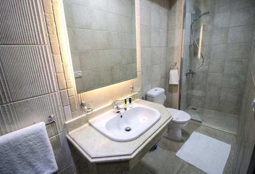 اتاق سوپریور, Miramar Talaat Harb Square