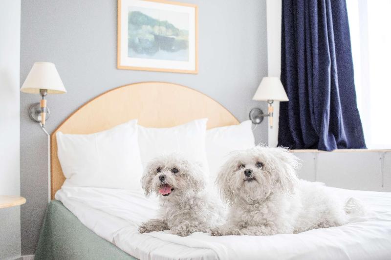 标准间, Reddoorz Syariah Near Marvel City Mall 2