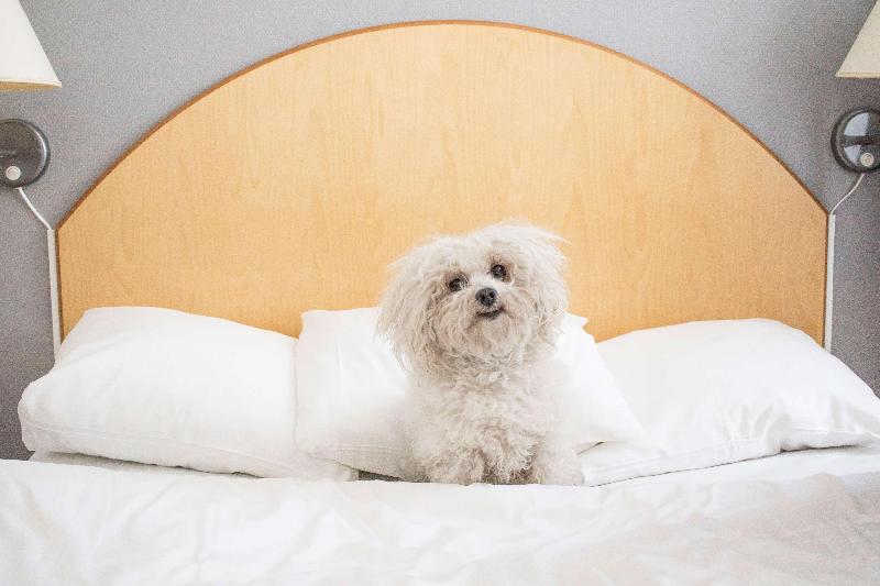 标准间, Reddoorz Syariah Near Marvel City Mall 2