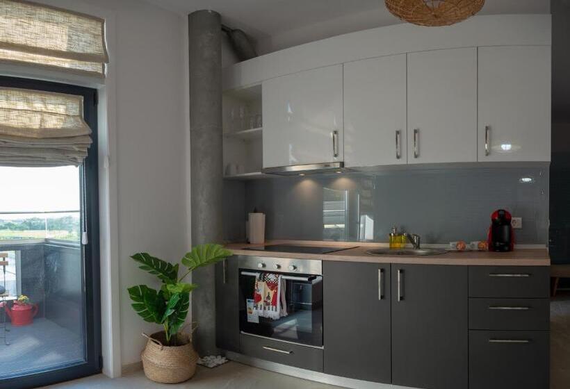 סטודיו סטנדרט עם מרפסת, Apartments Steel Residence