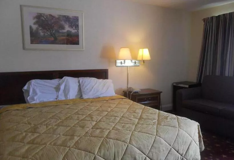 キングサイズベッドのスタンダードルーム, Cascades Motel Chattanooga