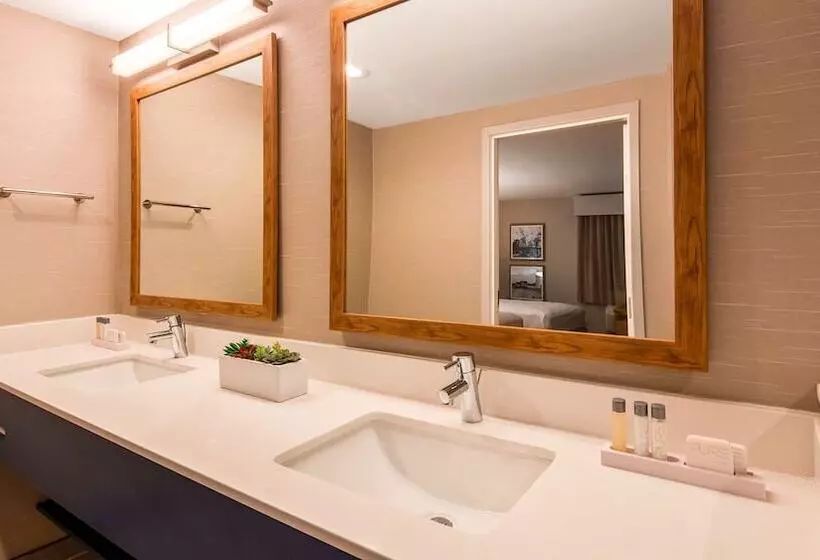 スイート, Aiden By Best Western Cape Cod   West Yarmouth