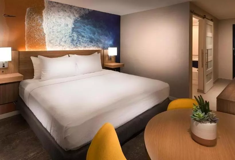 身障者適用キングサイズベッドルーム, Aiden By Best Western Cape Cod   West Yarmouth