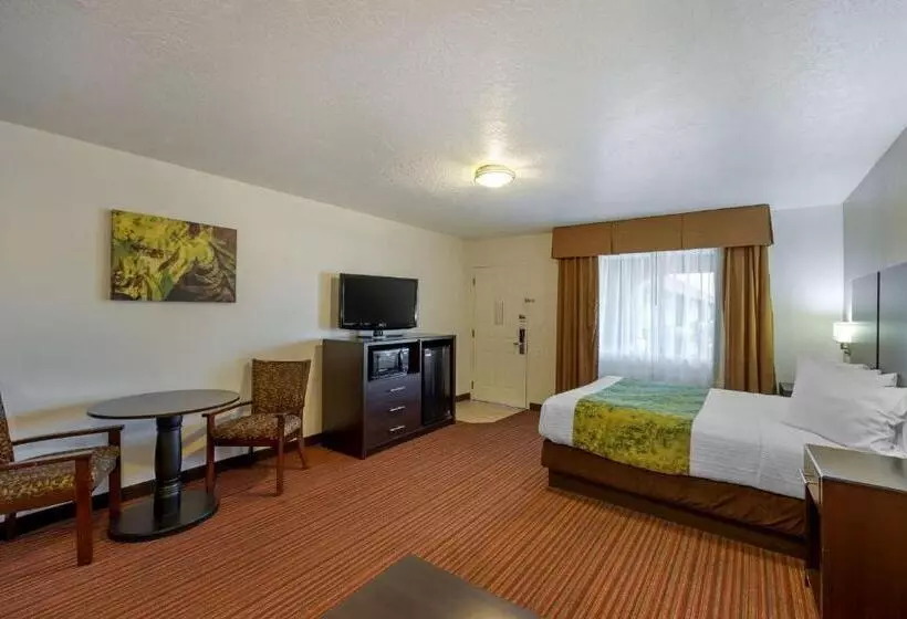スタンダードルーム, Best Western Mesquite Inn