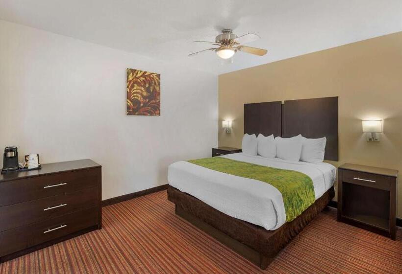 标准间, Best Western Mesquite Inn