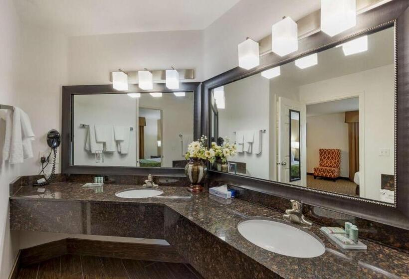 带大床的套房, Best Western Mesquite Inn