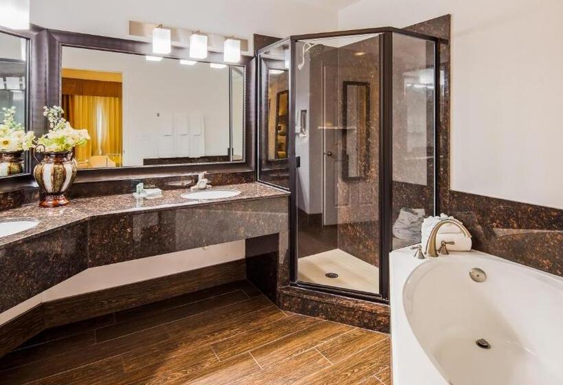 جناح سرير كينج, Best Western Mesquite Inn