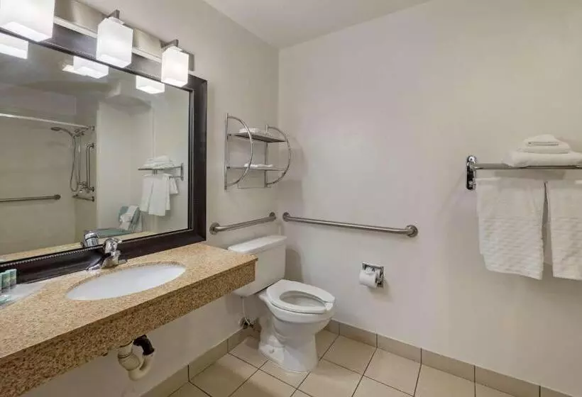 身障者適用スタンダードルーム, Best Western Mesquite Inn