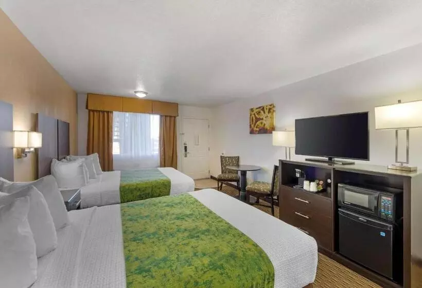 身障者適用スタンダードルーム, Best Western Mesquite Inn