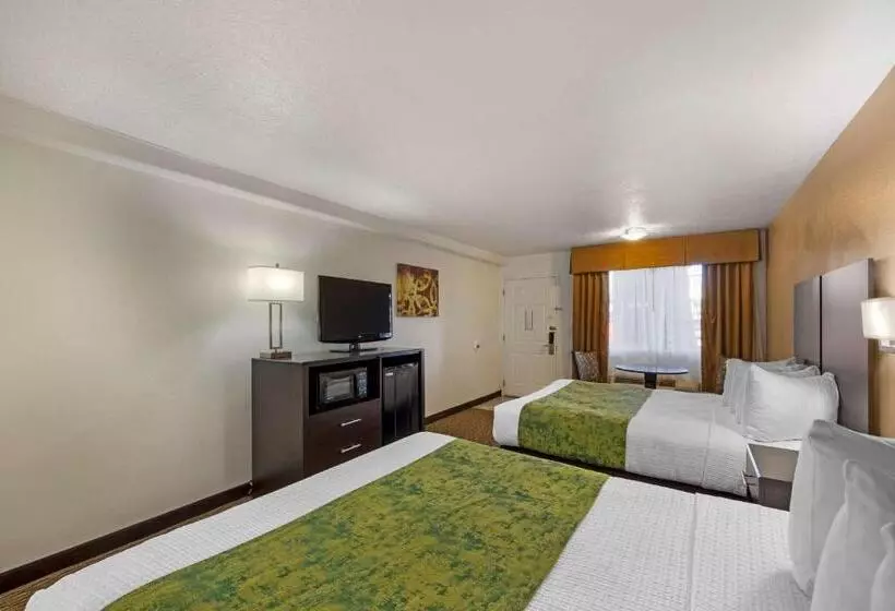 身障者適用スタンダードルーム, Best Western Mesquite Inn