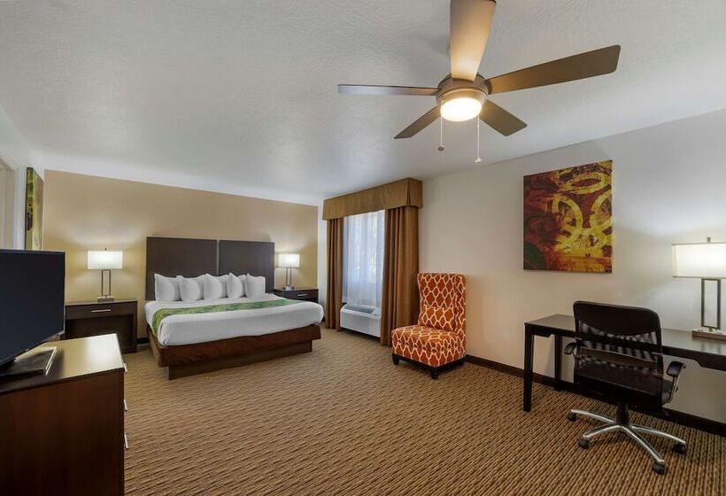 套房, Best Western Mesquite Inn