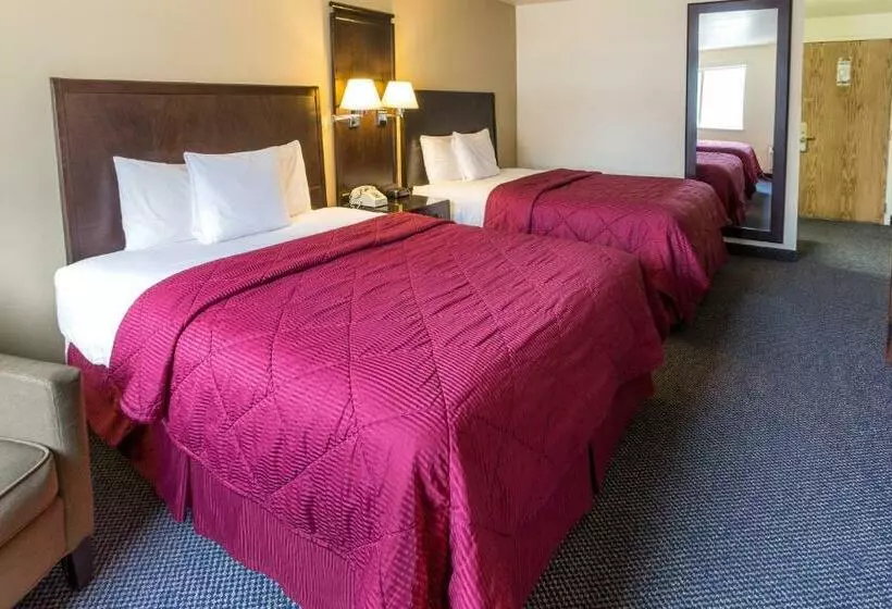 اتاق استاندارد, Cedars Inn