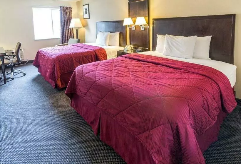 اتاق استاندارد, Cedars Inn