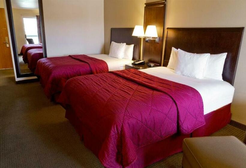 スタンダードルーム, Cedars Inn