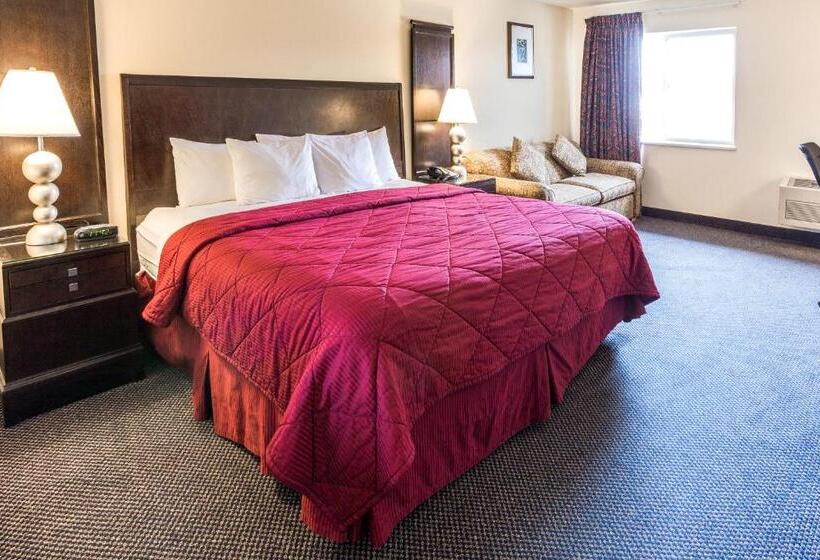 キングサイズベッドのスタンダードルーム, Cedars Inn