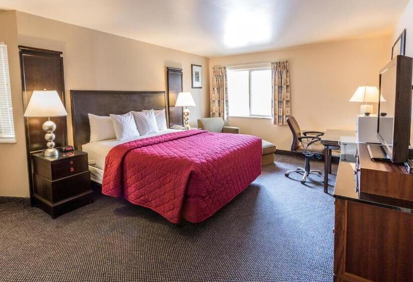 キングサイズベッドのスタンダードルーム, Cedars Inn