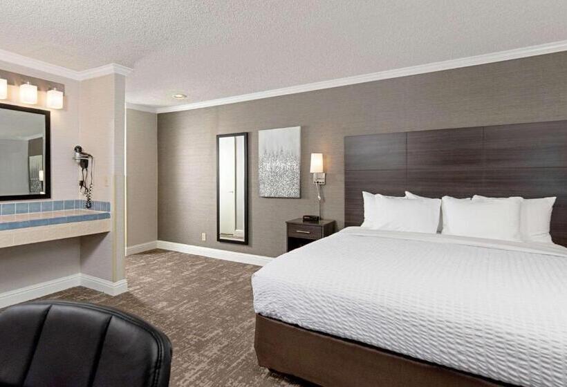 스탠다드 룸 킹사이즈 침대, Clarion Inn Silicon Valley