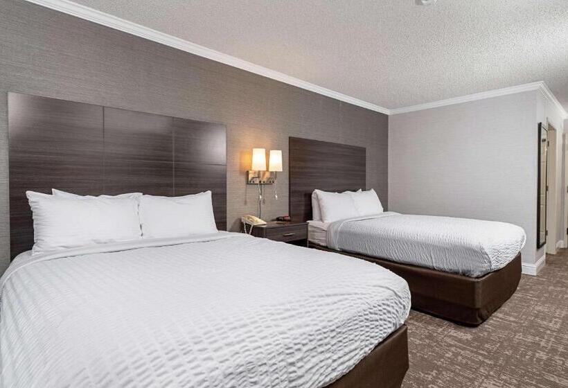 Номер Стандарт, Clarion Inn Silicon Valley