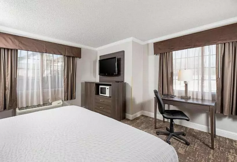 身障者適用キングサイズベッドルーム, Clarion Inn Silicon Valley