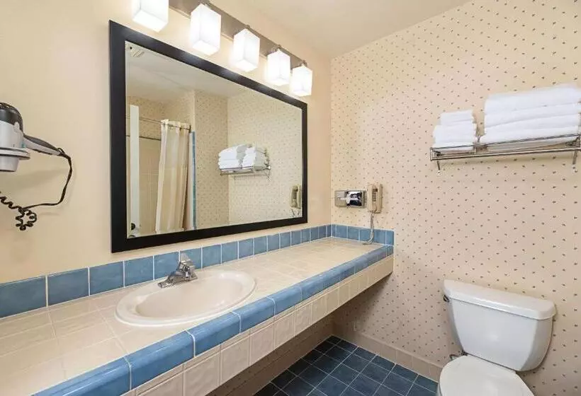 身障者適用スタンダードルーム, Clarion Inn Silicon Valley