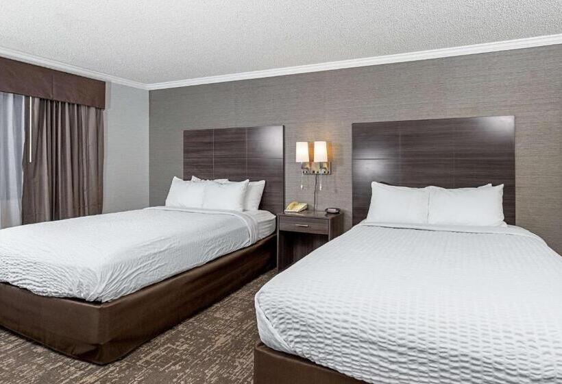 장애인을 위한 스탠다드 룸, Clarion Inn Silicon Valley