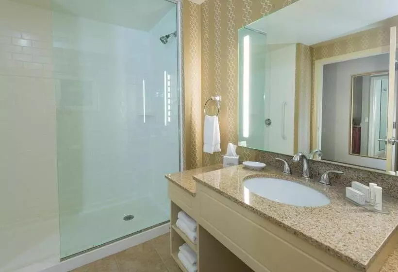 استودیو استاندارد با تخت کینگ, Fairfield Inn By Marriott Boston Sudbury