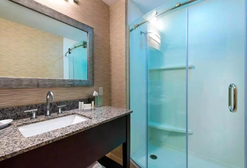 استودیوی استاندارد با تخت دوبل, Fairfield Inn By Marriott Boston Sudbury
