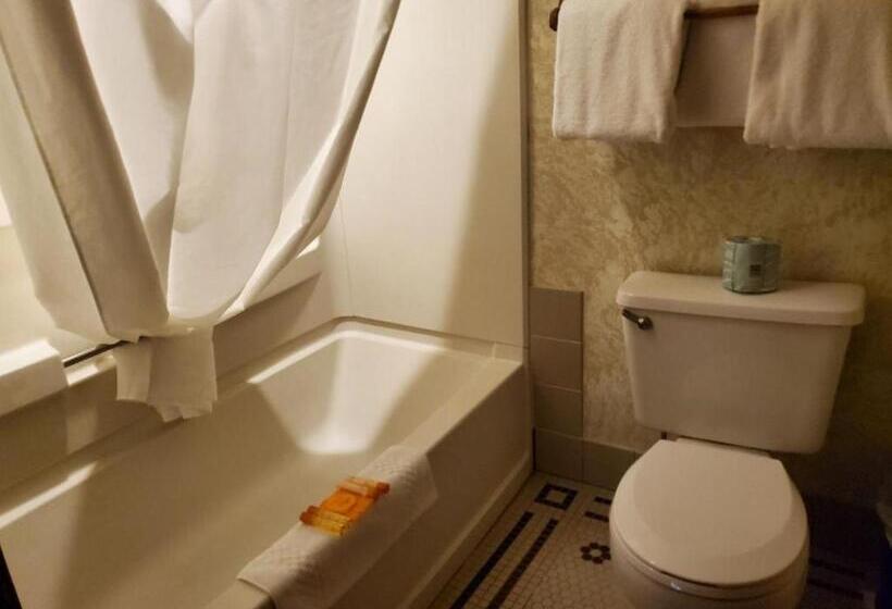 غرفة قياسية, Historic Bullock