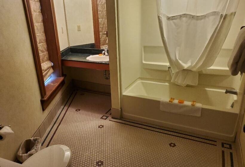 غرفة ديلوكس, Historic Bullock