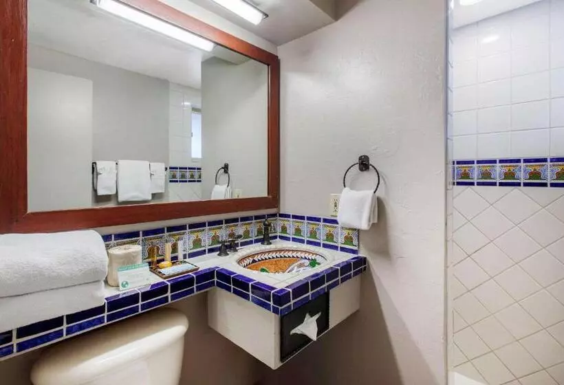 Standard-huone Parveke, La Posada Lodge & Casitas, Ascend Hotel Collection