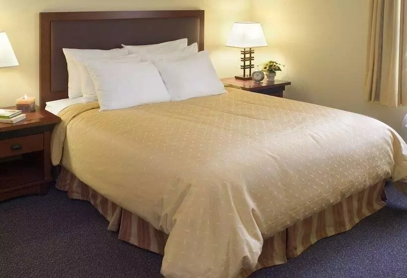 身障者適用スイートルーム, Larkspur Landing Extended Stay Suites Sacramento