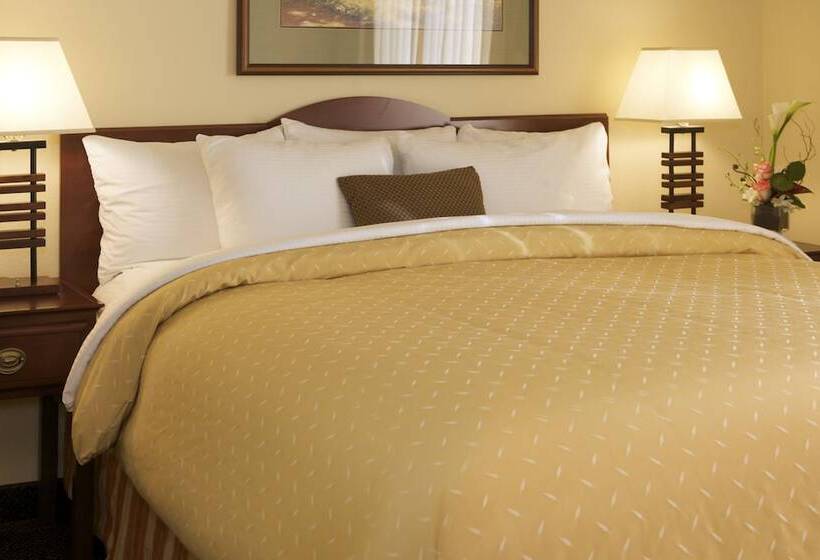 스탠다드 스튜디오, Larkspur Landing Extended Stay Suites Sacramento