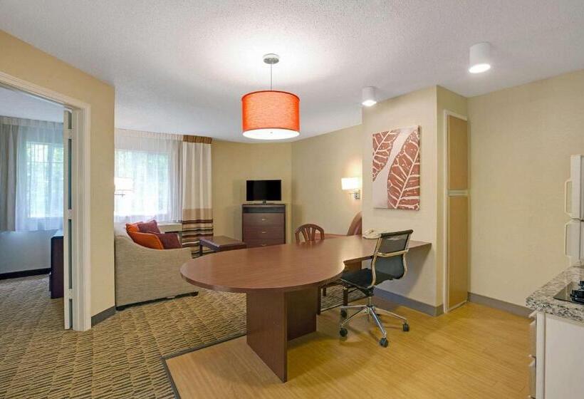 Люкс, Mainstay Suites Detroit Auburn Hills