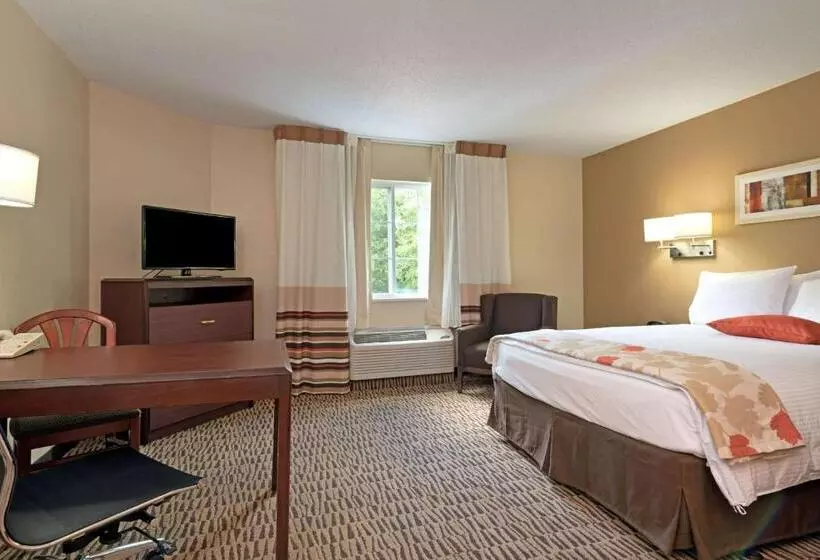 身障者適用スタンダードルーム, Mainstay Suites Detroit Auburn Hills
